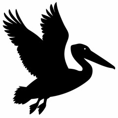 Pelican vector illustration, bird  isolated on white, Parrot silhouette, Parrot vector art