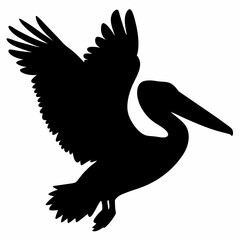 Pelican vector illustration, bird  isolated on white, Parrot silhouette, Parrot vector art