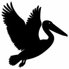 Pelican vector illustration, bird  isolated on white, Parrot silhouette, Parrot vector art