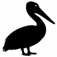 Pelican vector illustration, bird  isolated on white, Parrot silhouette, Parrot vector art