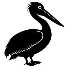 Pelican vector illustration, bird  isolated on white, Parrot silhouette, Parrot vector art