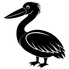 Pelican vector illustration, bird  isolated on white, Parrot silhouette, Parrot vector art