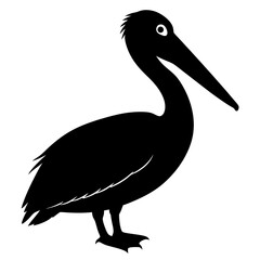 Pelican vector illustration, bird  isolated on white, Parrot silhouette, Parrot vector art