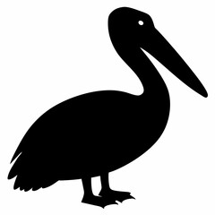 Pelican vector illustration, bird  isolated on white, Parrot silhouette, Parrot vector art