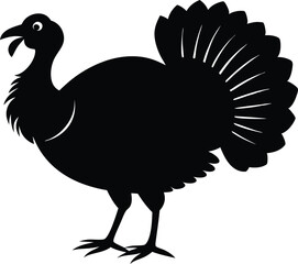 Turkey cock bird animal silhouette, wild turkey black silhouette vector art, thanksgiving turkey 
