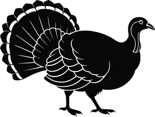 Turkey cock bird animal silhouette, wild turkey black silhouette vector art, thanksgiving turkey 
