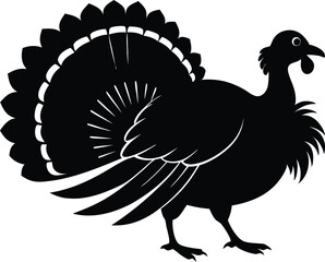 Turkey cock bird animal silhouette, wild turkey black silhouette vector art, thanksgiving turkey 
