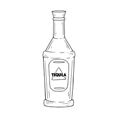 Line sketch,doodle of a tequila bottle with a piece of lime.Vector graphics.
