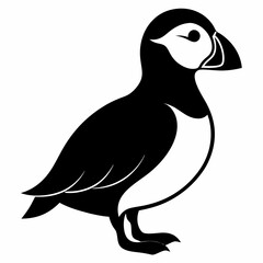 Puffin vector illustration, bird  isolated on white, Puffin silhouette, Puffin  vector art