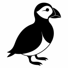 Puffin vector illustration, bird  isolated on white, Puffin silhouette, Puffin  vector art