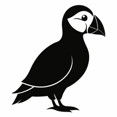 Obraz premium Puffin vector illustration, bird isolated on white, Puffin silhouette, Puffin vector art