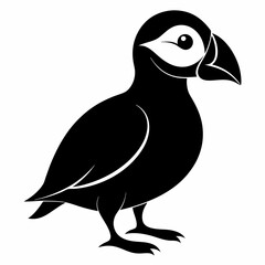 Puffin vector illustration, bird  isolated on white, Puffin silhouette, Puffin  vector art