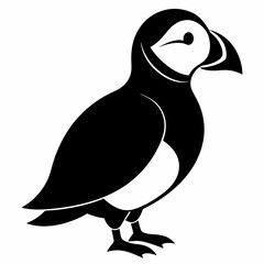 Puffin vector illustration, bird  isolated on white, Puffin silhouette, Puffin  vector art