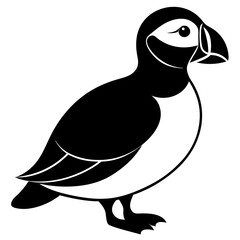 Puffin vector illustration, bird  isolated on white, Puffin silhouette, Puffin  vector art