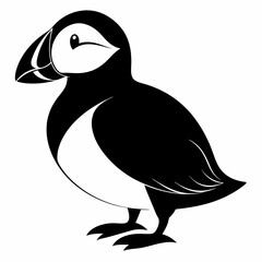 Puffin vector illustration, bird  isolated on white, Puffin silhouette, Puffin  vector art