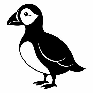 recommend clip art: Puffin vector illustration, bird  isolated on white, Puffin silhouette, Puffin  vector art