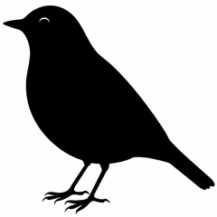 Warbler vector illustration, bird  isolated on white, Warbler silhouette, Warbler vector art
