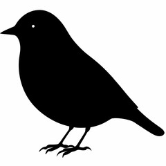 Warbler vector illustration, bird  isolated on white, Warbler silhouette, Warbler vector art