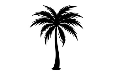 palm tree silhouette vector illustration