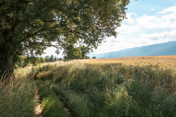 Campagne du pays de Gex , France