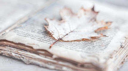 Naklejka premium Single Dried Leaf Bookmark in Old Book Back to School Concept Image