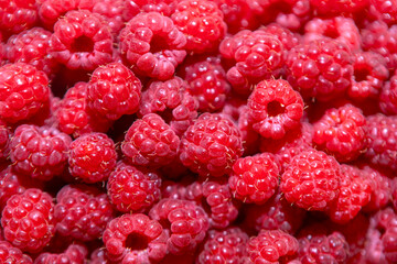 Close up of a bunch of red raspberries. The raspberries are all different sizes and are clustered together. Concept of abundance and freshness, as the raspberries are ripe and ready to be eaten