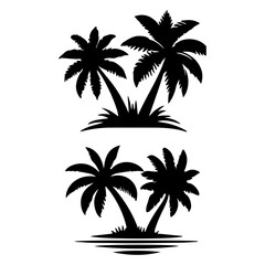 Fototapeta premium Tall tropical tree with large versatile and feathery leaves.