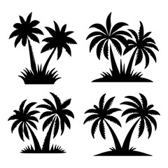 Fototapeta premium Tall tropical tree with large versatile and feathery leaves 