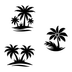 Tall tropical tree with large versatile and feathery leaves
