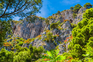 The wonderful island of Capri, amalfi coast, bay of naples, italy