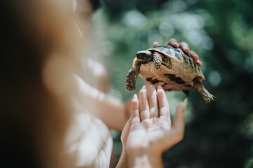 Close-up of a person holding a turtle outdoors in a lush forest, capturing a moment of nature exploration.