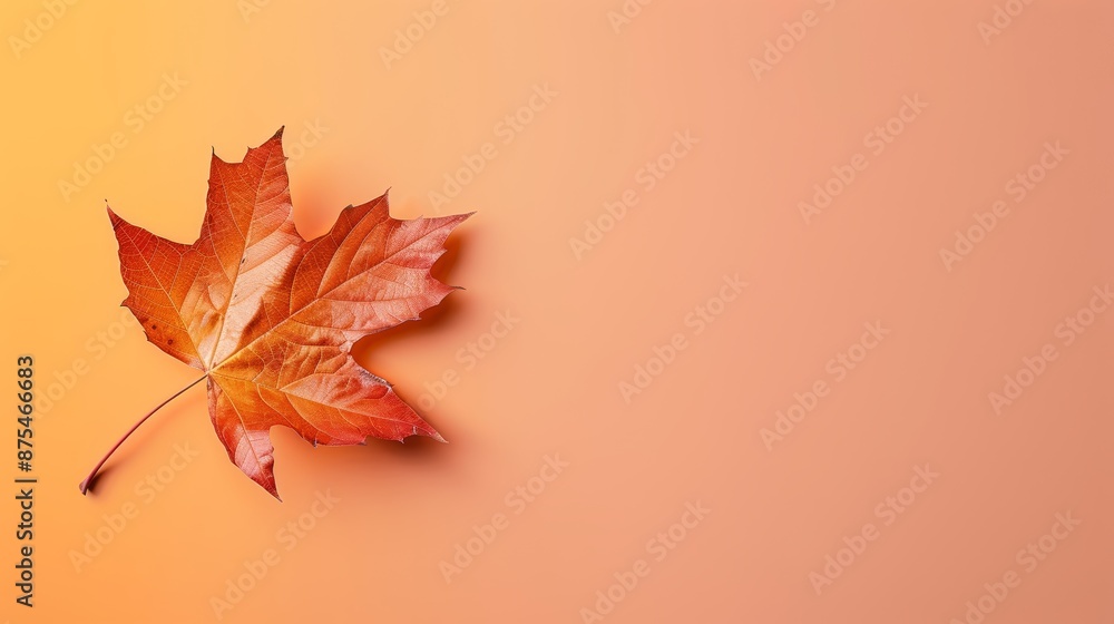 Poster a single fall leaf delicately placed on the left, with a smooth gradient background transitioning fr