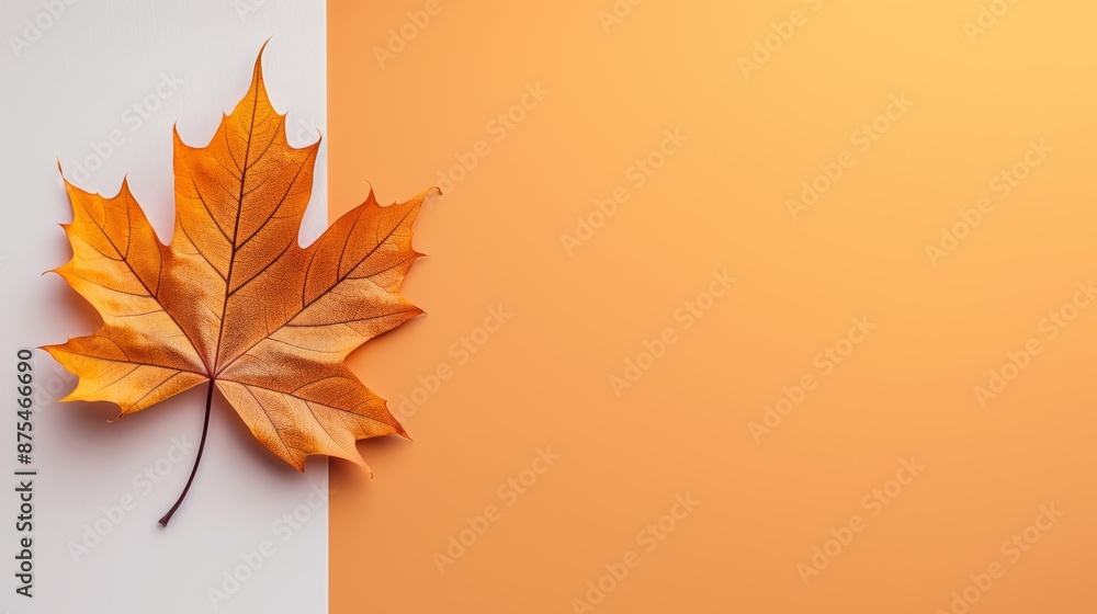 Poster a single fall leaf delicately placed on the left, with a smooth gradient background transitioning fr