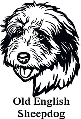 Old English Sheepdog - Funny Dog, Vector File, Cut Stencil for Tshirt