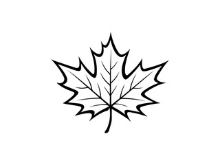 maple leaf silhouette vector illustration