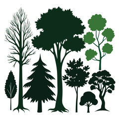 Fototapeta premium various deciduous trees silhouettes on a white background isolated from any distractions 