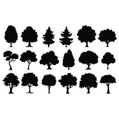 various maple field leaf silhouettes on a white background isolated 