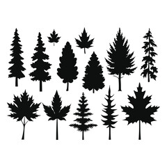 various deciduous trees silhouettes on a white background isolated from any distractions 