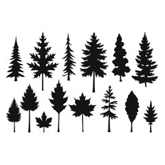 Obraz premium various maple field leaf silhouettes on a white background isolated 