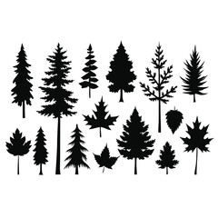 various deciduous trees silhouettes on a white background isolated from any distractions 