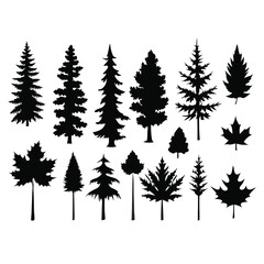 Fototapeta premium various deciduous trees silhouettes on a white background isolated from any distractions 