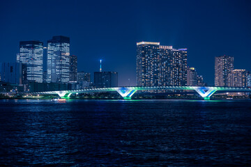 Obraz premium 豊洲大橋 夜