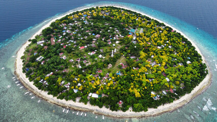 Breathtaking aerial view of Balicasag Island, Philippines showcasing local bankas amidst vibrant coral reefs teeming with marine life.