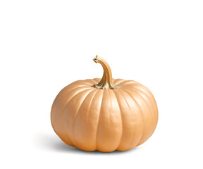 Obraz premium golden pumpkin isolated on white background, halloween, autumn, fall.