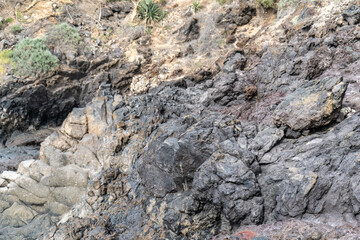 Lava Fields, Pumice Volcano Stones Texture, Volcanic Pumice Pattern, Pieces of Lava, Basalt Extrusive Igneous Rock