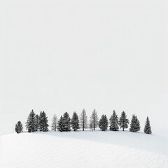A minimalist design featuring a row of trees in the snow, captured with an aerial perspective and in the style of Blackout art.