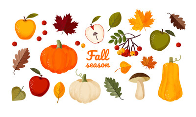 Autumn set. Leaves, pumpkins, apple and other fall elements . Vector illustration 