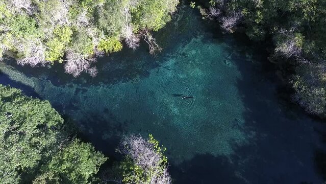 Source of the Olho D'&aacute;gua River (Floating tour Rio da Prata) - Bonito, Mato Grosso do Sul, Brazil