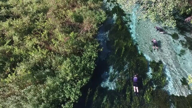 Aerial view of Sucuri River - Bonito, Mato Grosso do Sul, Brazil