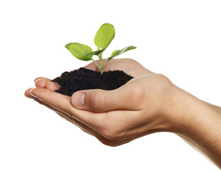 Environmental protection. Man holding seedling with pile of soil on white background, closeup